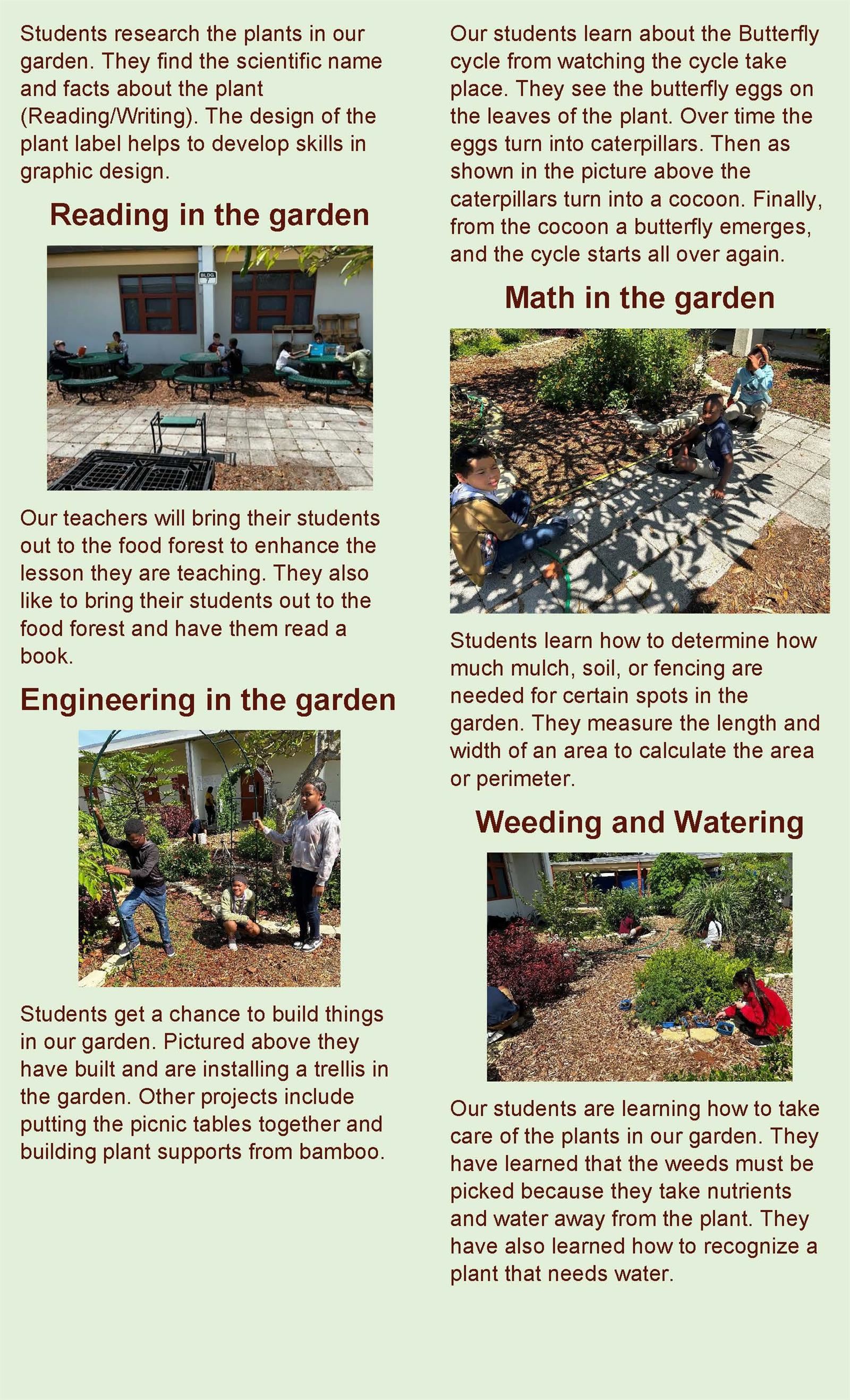 Food Forest Page 2